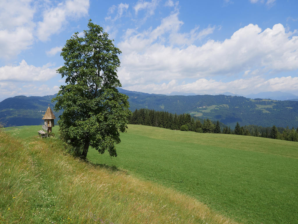 Alpengasthof Moser Karchau Exterior photo